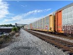 TTGX 921286